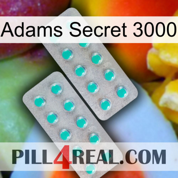 Adams Secret 3000 29.jpg